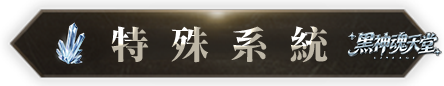 特殊系統